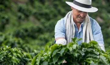 farmer1