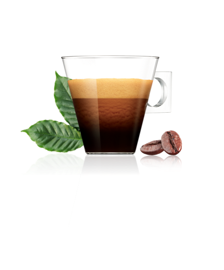 sustainability  cup