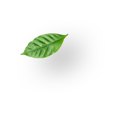 sustainability leaf0