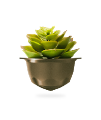 sustainability item