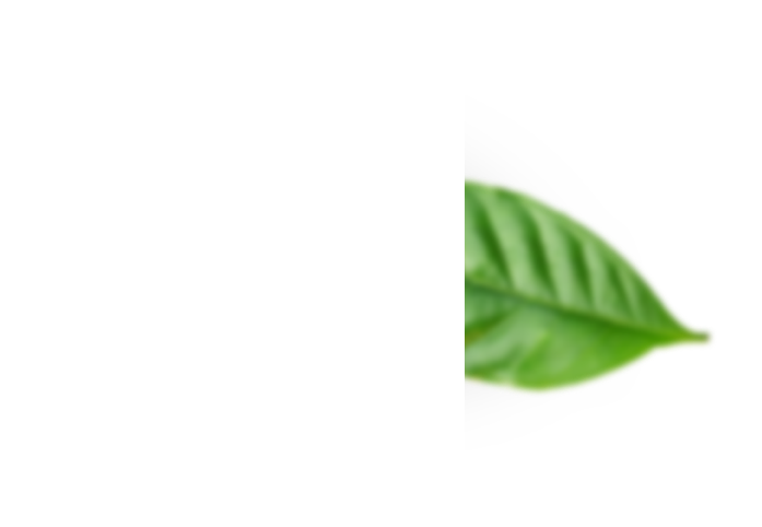 sustenability leaf img1