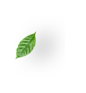 sustenability leaf img2 1