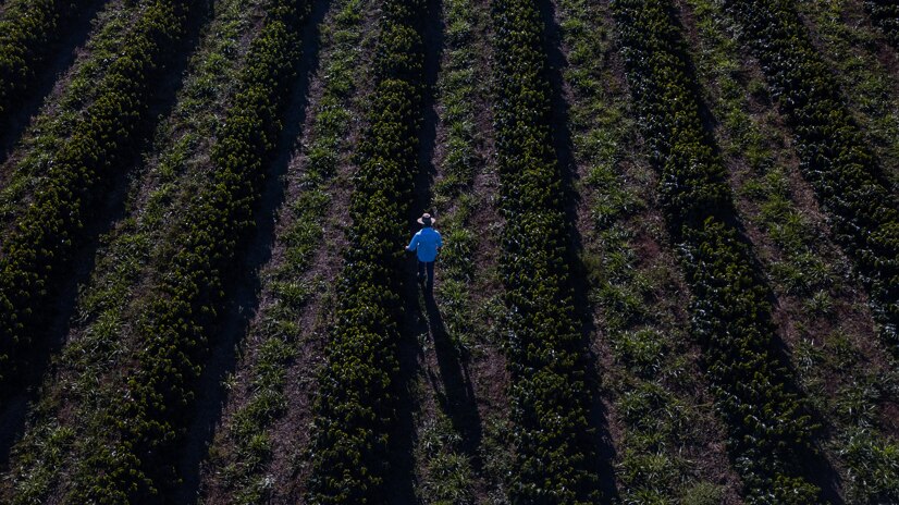 sustenability farmer4 img